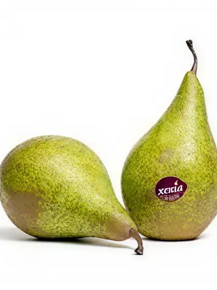 Jacky Tessier Poire Val De Loire Image 56