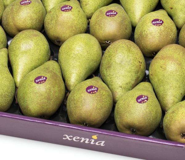 Jacky Tessier Poire Val De Loire Xenia 3